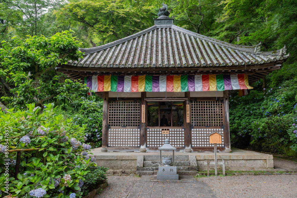 長谷寺 長谷寺