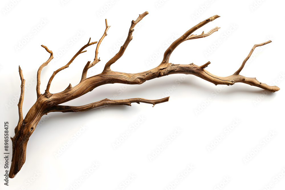 Intricately twisted driftwood branch, showcasing fine, weathered textures against a pure white background, soft lighting enhances the organic shapes, ample copy space,... Intricately twisted driftwood branch, showcasing fine, weathered textures against a pure white background, soft lighting enhances the organic shapes, ample copy space,...
