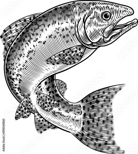 A salmon fish in a vintage antique etched woodcut style, fishing concept.