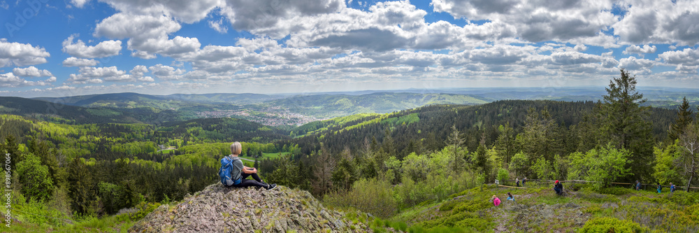 Fototapeta premium Ausblick vom Ruppberg auf Zella-Mehlis / Thüringer Wald