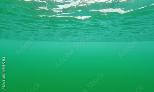 Wallpaper Mural view of the ocean floor from the water's surface, with a clear view of the underwater environment. Torontodigital.ca