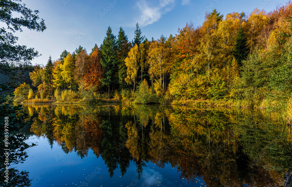 Autumn forest lake water. autumn trees reflected in autumn water Autumn forest lake water. autumn trees reflected in autumn water