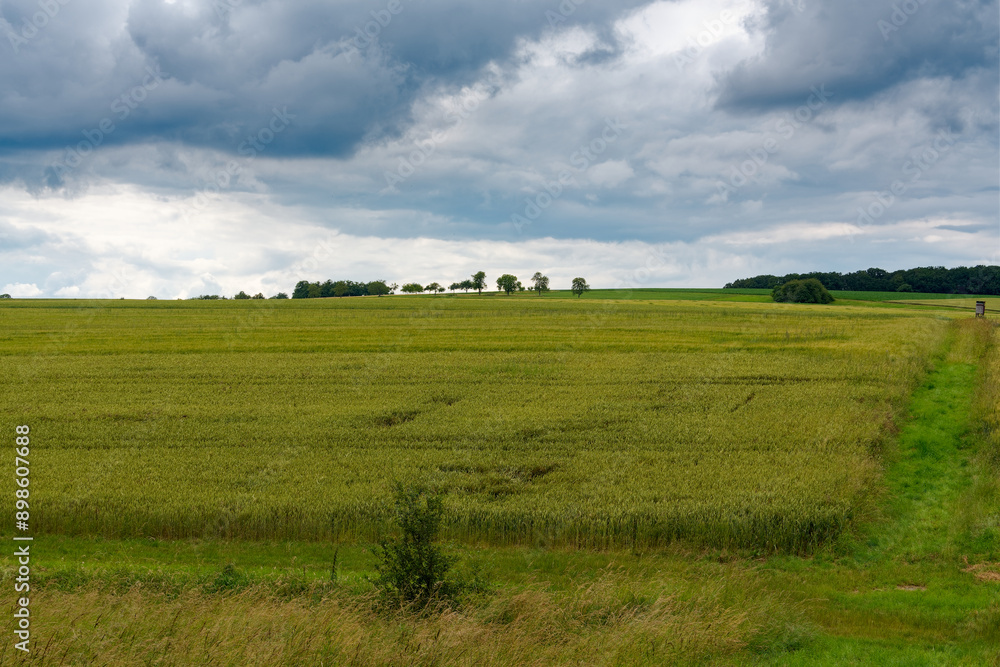 Landschaft entlang der Wern bei Pfersdorf, Gemeinde Poppenhausen, Landkreis Schweinfurt, Unterfranken, Bayern, Deutschland Landschaft entlang der Wern bei Pfersdorf, Gemeinde Poppenhausen, Landkreis Schweinfurt, Unterfranken, Bayern, Deutschland