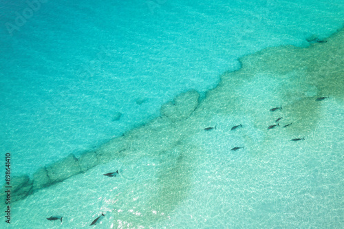 Shoab coast in Socotra - great area for sunbathing and swimming. You can spot a dolphins in this water!