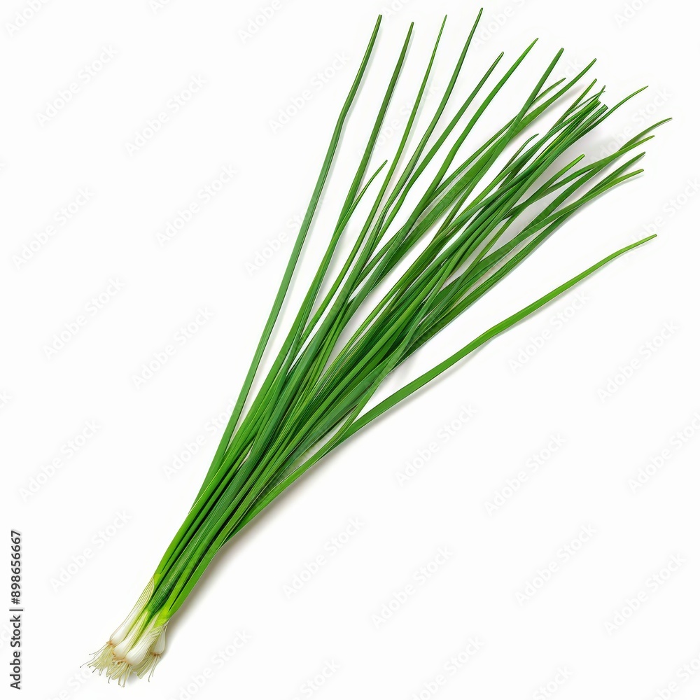 Vibrant Fresh Chives Close-up on White Background for Culinary Use. Vibrant Fresh Chives Close-up on White Background for Culinary Use.