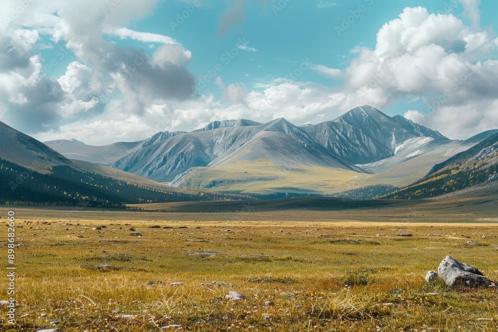 Fototapeta premium A large open grassy field with mountains visible in the distance