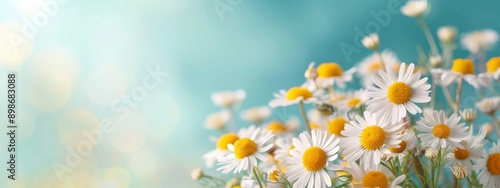  A vase with white and yellow daisies on a table against a blue sky background