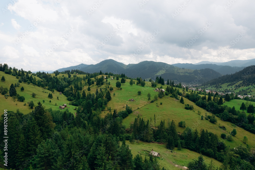 Obraz premium Beautiful aerial summer view of the forest in the mountains and valley or hills. 