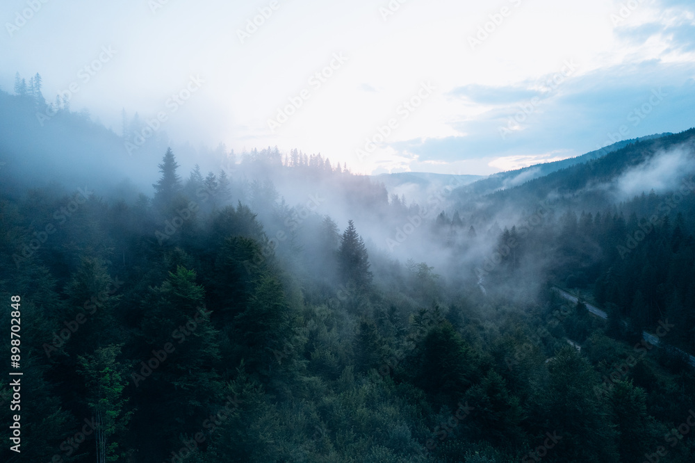 Mountains with pine forest in the fog. Foggy landscape with fir forest. Mountains with pine forest in the fog. Foggy landscape with fir forest.
