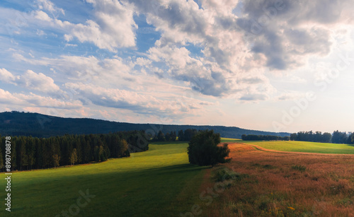 Meadow with tree under cloudy sky. Natural reserve Novohradske mountain, Czech landscape photo