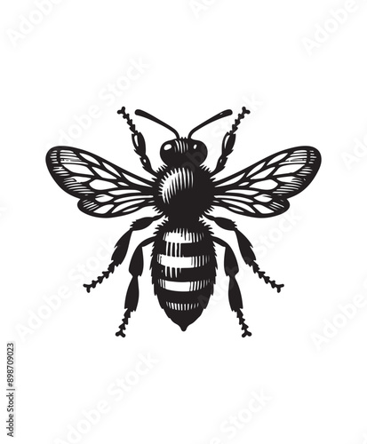 vector Bee vector art,graphics Bees icons set,vintage illustration Bee clipart,vector Bees flat style artwork design