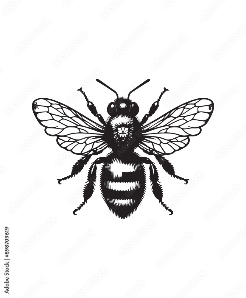 vector Bee vector art,graphics Bees icons set,vintage illustration Bee clipart,vector Bees flat style artwork design vector Bee vector art,graphics Bees icons set,vintage illustration Bee clipart,vector Bees flat style artwork design
