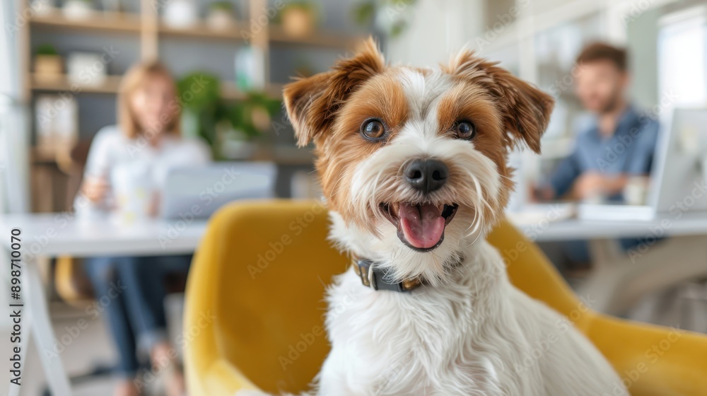 A happy dog with white and brown fur sits on a yellow chair in an office setting, with people and plants visible in the background, creating a cheerful atmosphere.