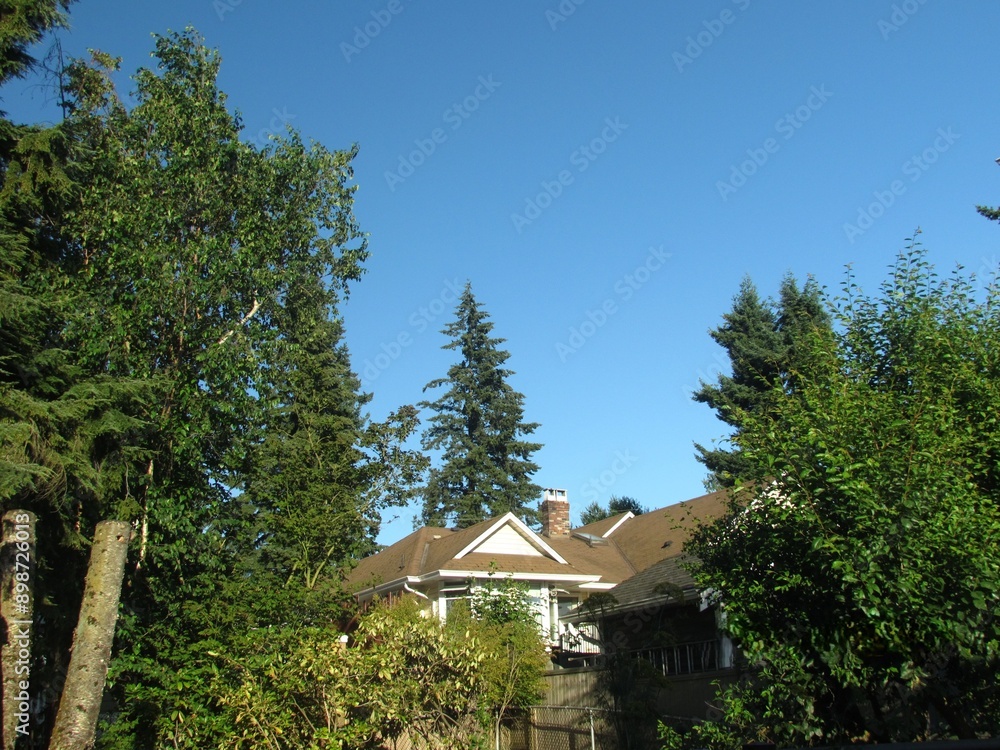 Garden View, Back Yard Views Garden View, Back Yard Views