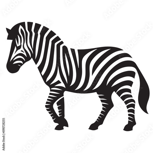  zebra Silhouette vector white back ground