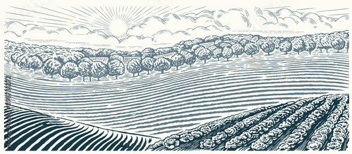 Rural landscape with hills, agriculture field and gardens, illustration hand-drawn in the graphic style. Vector landscape.
