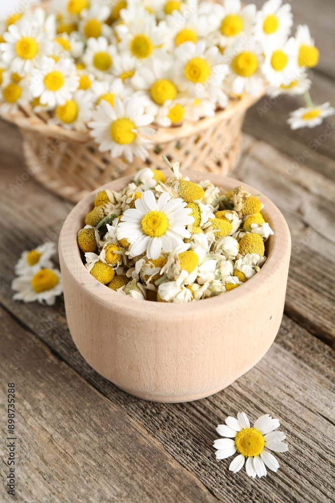 Dry and fresh chamomile flowers on wooden table Dry and fresh chamomile flowers on wooden table