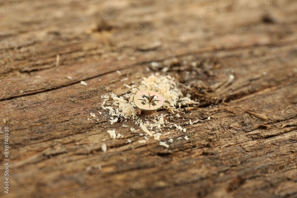 Screw in wooden plank and sawdust, closeup Screw in wooden plank and sawdust, closeup