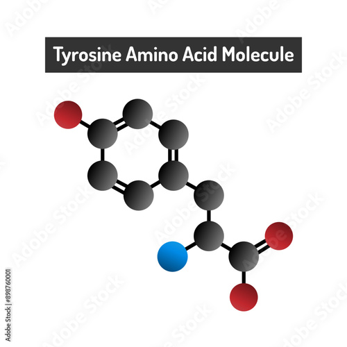 Tyrosine Amino Acid Molecule - Structure, Functions, and Role in Protein Synthesis.