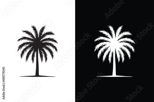 Black palm tree isolated on white background. Palm icon silhouettes. Design of palm tree