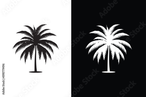 Black palm tree isolated on white background. Palm icon silhouettes. Design of palm tree