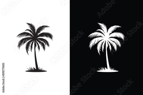 Black palm tree isolated on white background. Palm icon silhouettes. Design of palm tree