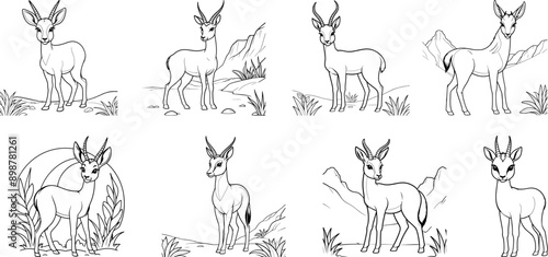 Springbok coloring page and outline vector design