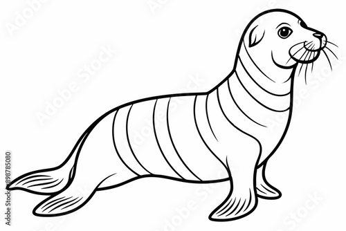 Funny Sea Lion Vector Illustration, Cartoons, Clipart, and Line Art Design, Funny Sea Lion vector illustration, cartoons, clipart, and line art design on a white background.