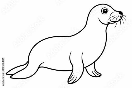 Funny Sea Lion Vector Illustration, Cartoons, Clipart, and Line Art Design, Funny Sea Lion vector illustration, cartoons, clipart, and line art design on a white background.