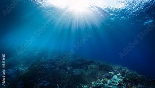 Wallpaper Mural serene underwater scene with sunlit ocean waves Torontodigital.ca