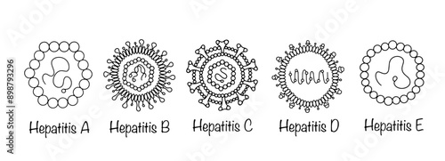 Hepatitis viruses