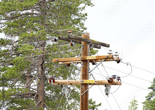 Close up on Power lines going through tall pine trees in the forest in Northern California.