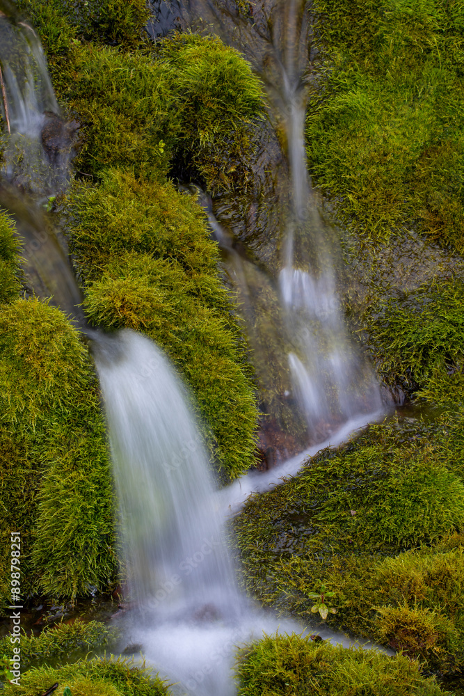 A wall of waterfalls on a green moss-covered slope of a volcano, Iturup Island A wall of waterfalls on a green moss-covered slope of a volcano, Iturup Island