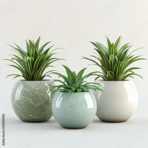 Green and Brown Vase With Plant