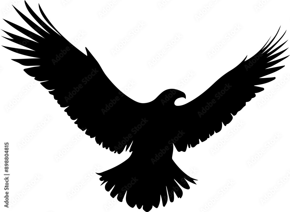 Obraz premium Oiseau en vol, silhouette noir sur fond blanc