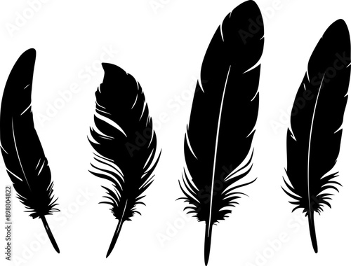 Set de plumes d'oiseaux, vecteur noir isolé