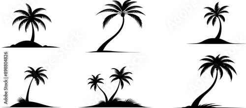 Set de palmiers pour conception vacances ou jours de congé a ajuster