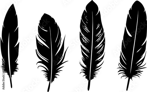 Set de plumes d'oiseaux, vecteur noir sur fond blanc isolé