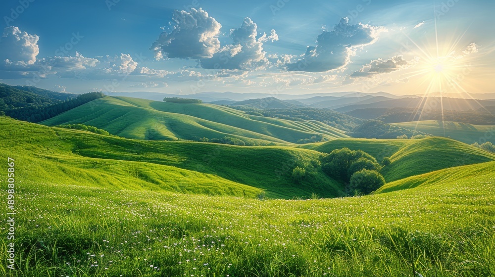Obraz premium Sun Shining Over Green Field