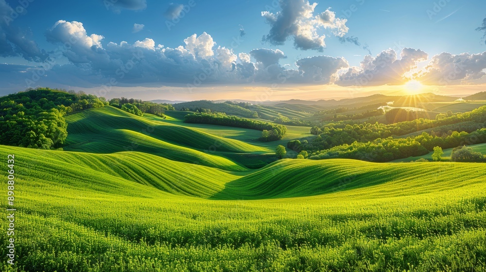 Obraz premium Sun Shining Over Green Field