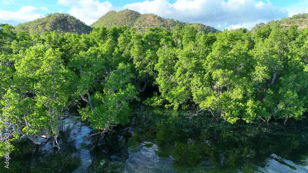 Morning sunlight illuminates the mangrove-fringed island of Lembata, Indonesia. This beautiful and biodiverse area is part of the famed Ring of Fire and is home to high marine biodiversity. Morning sunlight illuminates the mangrove-fringed island of Lembata, Indonesia. This beautiful and biodiverse area is part of the famed Ring of Fire and is home to high marine biodiversity.