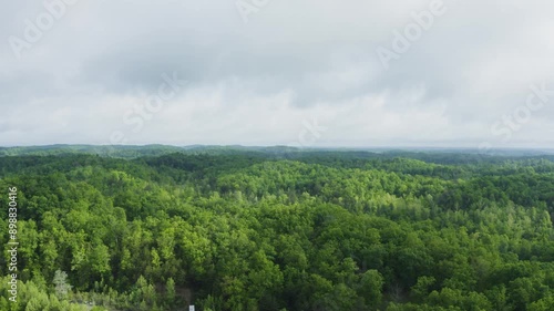 Drone flight over dense forest