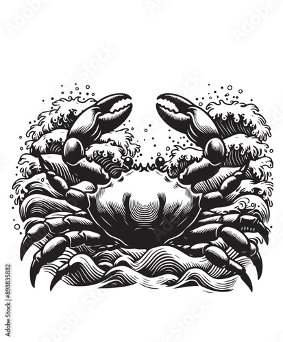 crab vector art,graphics crabs icons set,vintage illustration crab clipart,vector crabs flat style artwork design