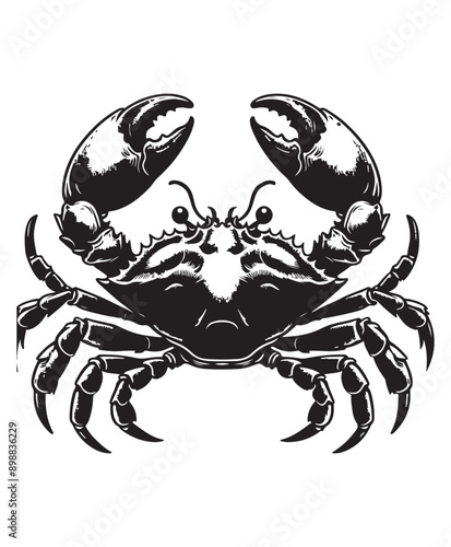 crab vector art,graphics crabs icons set,vintage illustration crab clipart,vector crabs flat style artwork design