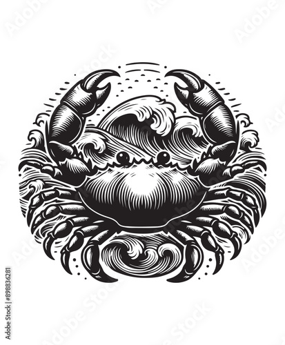 crab vector art,graphics crabs icons set,vintage illustration crab clipart,vector crabs flat style artwork design