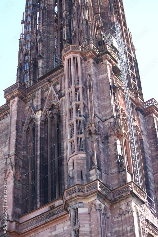 Naklejka premium Catedral de Estrasburgo
