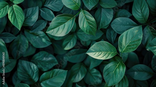 Textured green leaves background for copy space