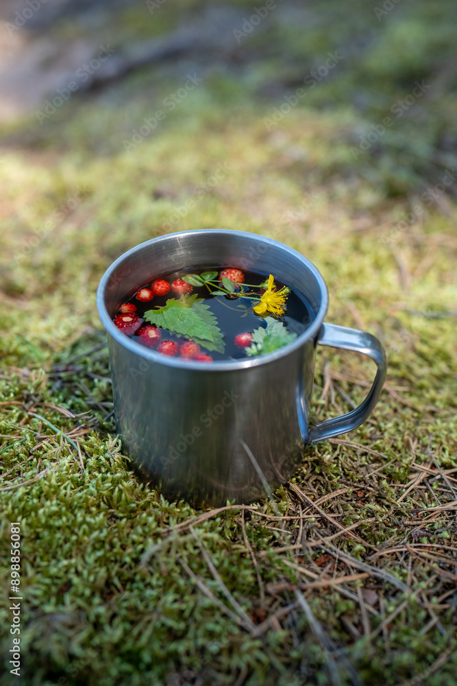 Green botanical tea made from forest strawberries, mint leaves, and St. John's wort during a nature escape. Nutrient-rich and healthy herbal tea made from gathered berries and herbs on a trek. Green botanical tea made from forest strawberries, mint leaves, and St. John's wort during a nature escape. Nutrient-rich and healthy herbal tea made from gathered berries and herbs on a trek.