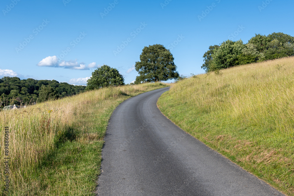Fototapeta premium road in the countryside