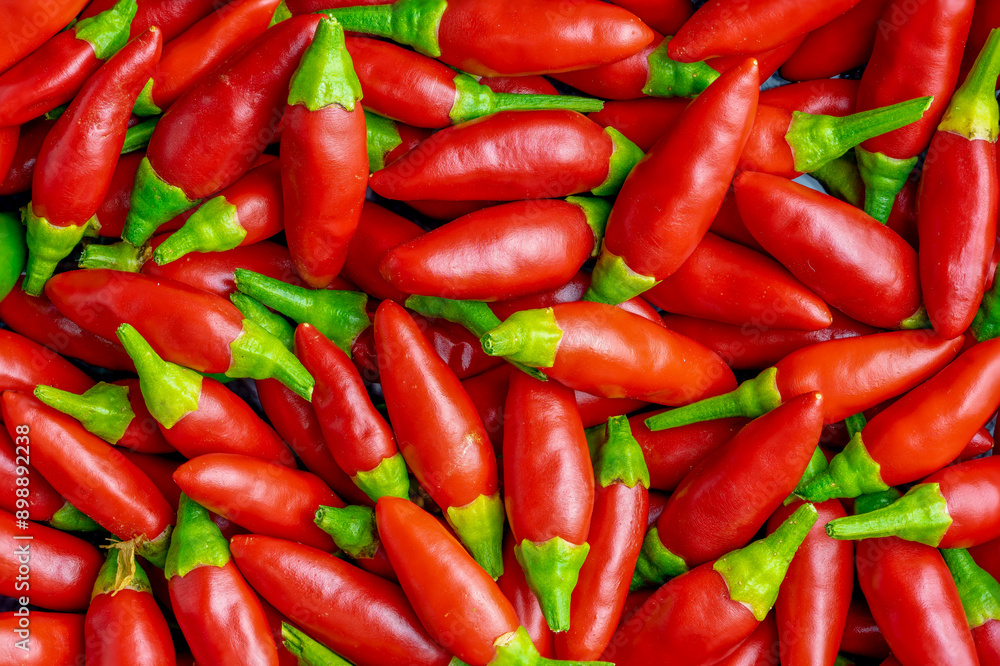 Set of small defocused red chillies, useful for picture background.